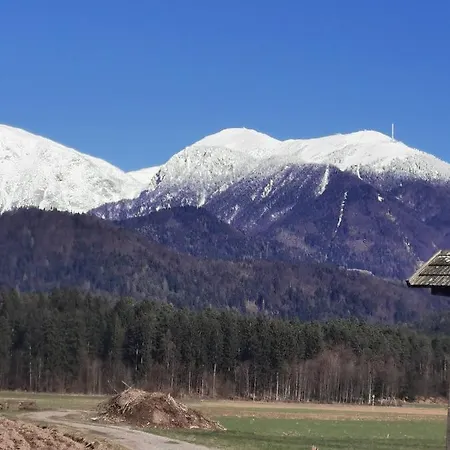 Holiday home Old Traditional House Visoko (Sencur)